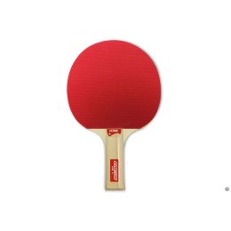 Теннисная ракетка Start line Home (анатомическая)