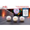 Мячи для настольного тенниса Double Fish V40+ 3 star WTTC (6шт.)
