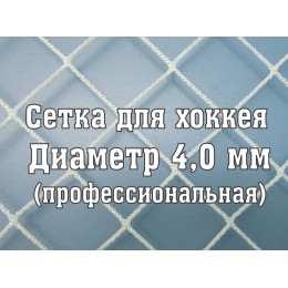 Сетка для хоккея, профи d-4,0 (2 шт)