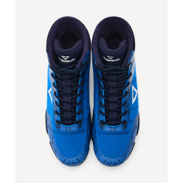 Обувь для бокса INSANE FURY, Синий
