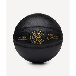Мяч баскетбольный JOGEL Money Ball-2026 №7