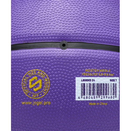 Мяч баскетбольный JOGEL Streets Legend24 №7