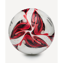 Мяч футбольный Jogel Triumph Elite №5, размер 5