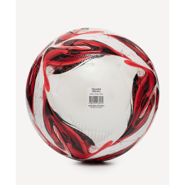 Мяч футбольный Jogel Triumph Pro №5, размер 5