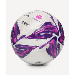 Мяч футбольный Jogel Triumph Elite WSL №5, размер 5