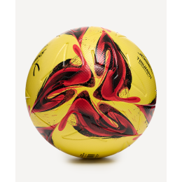 Мяч футбольный Jogel Triumph Elite Winter №5, размер 5