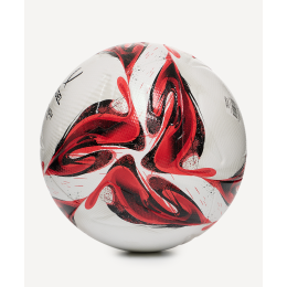 Мяч футбольный Jogel Triumph Pro №5, размер 5