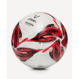 Мяч футбольный Jogel Triumph Pro №5, размер 5