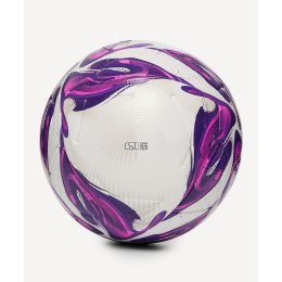 Мяч футбольный Jogel Triumph Elite WSL №5, размер 5