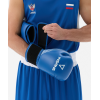 Перчатки боксерские INSANE RBF, синий, 12 oz
