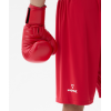 Перчатки боксерские INSANE RBF, красный, 10 oz