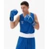Перчатки боксерские INSANE RBF, синий, 12 oz