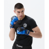 Перчатки INSANE MMA HYBRID, S, синий