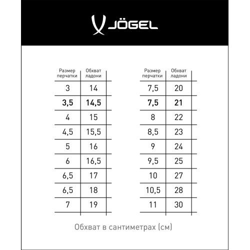 Перчатки вратарские JÖGEL ONE Wizard AL3 Flat, голубой, 6