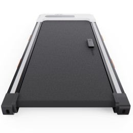 Беговая дорожка DFC Colibri TM100-4, 93 х 38 см