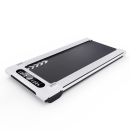 Беговая дорожка DFC YMCLUB 120 x 43 см, белая