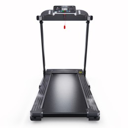 Беговая дорожка DFC LONGTEK T-X510G