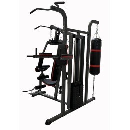 Силовой комплекс DFC D7006