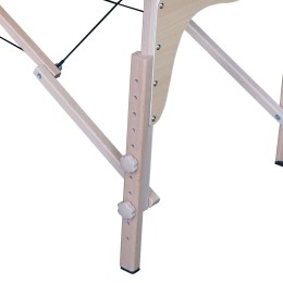 Массажный стол DFC NIRVANA Optima (Green)