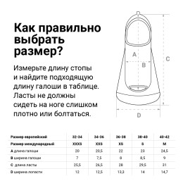 Ласты для бассейна TORRES F02, M (40-42), Черный