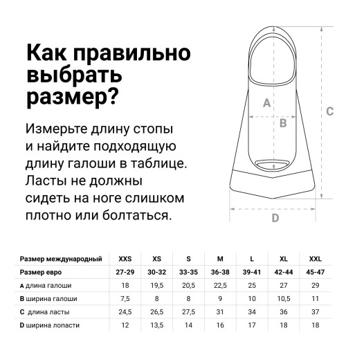 Ласты для бассейна TORRES F01, L (39-41), Синий