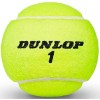 Мячи для большого тенниса DUNLOP Australian Open, упаковка 4 шт, ITF