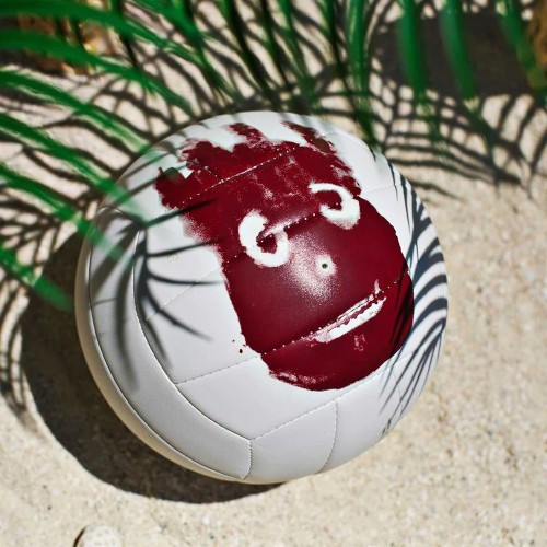 Мяч волейбольный Wilson Castaway