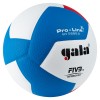 Мяч волейбольный GALA Pro-Line 12, FIVB, профессиональный