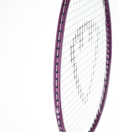 Набор для бадминтона TORRES Leisure Set, 2 ракетки