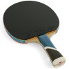 Ракетка для настольного тенниса DOUBLE FISH 5A+C, профессиональная, ITTF Approved, + 2 мяча