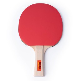 Ракетка для настольного тенниса TORRES Control 10