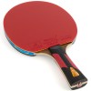 Ракетка для настольного тенниса DOUBLE FISH 7A+C, профессиональная, ITTF Approved, + 2 мяча