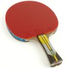 Ракетка для настольного тенниса DOUBLE FISH 6A+C, профессиональная, ITTF Approved, + 2 мяча