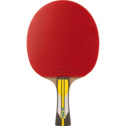 Ракетка для настольного тенниса DOUBLE FISH 6A+C, профессиональная, ITTF Approved, + 2 мяча