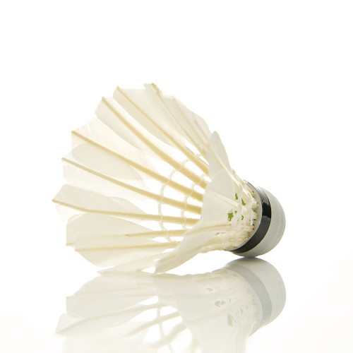 Воланы для бадминтона DOUBLE FISH JINQUE 09, перо, 12 шт.