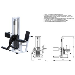 Разгибание ног сидя + сгибание стоя (стек 100 кг) JAGUAR-SPORT AR041