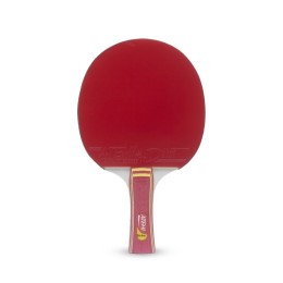 Набор для настольного тенниса Atemi STRIKE (2ракетки+чехол+3 мяча***)