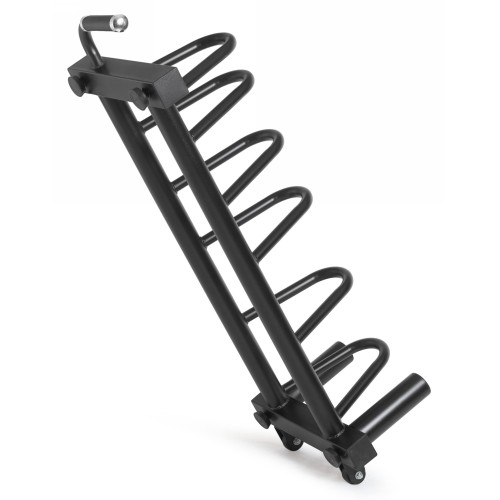 Стойка для дисков VictoryFit VF-D4013