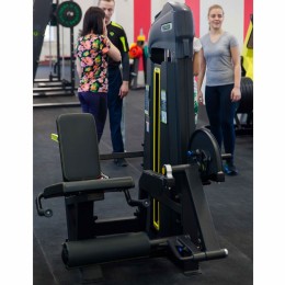 Разгибание ног сидя DHZ E3002 (U3002C) (cтек 109 кг)