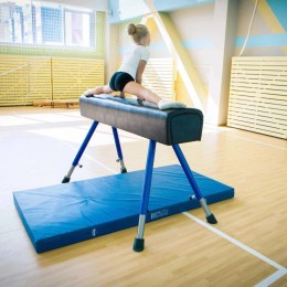 Мат гимнастический 100x200x10 см тентовая ткань 500 (без поролона) JAGUAR-SPORT