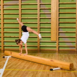 Бревно гимнастическое 3 м напольное JAGUAR-SPORT