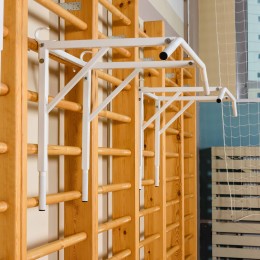 Брусья-турник JAGUAR-SPORT навесные универсальные на шведскую стенку