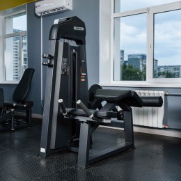 Сгибание ног лежа DHZ E3001 (U3001C) (cтек 94 кг)