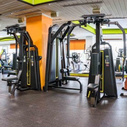 Баттерфляй - задние дельты DHZ E3007 (U3007C) (cтек 109 кг)