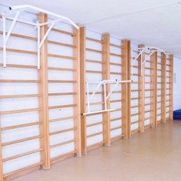 Брусья-турник JAGUAR-SPORT навесные универсальные на шведскую стенку