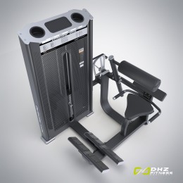 Разгибание спины DHZ E-7031A (cтек 110 кг)