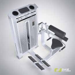 Разгибание спины DHZ E-7031A (cтек 110 кг)