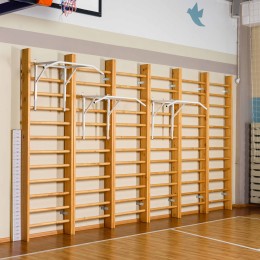 Брусья-турник JAGUAR-SPORT навесные универсальные на шведскую стенку