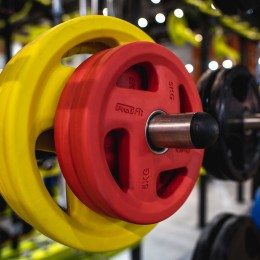 Диск обрезиненный JAGUAR-SPORT цветной "FASSION" D-51, 5 кг