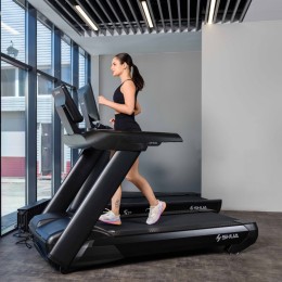 Беговая дорожка SHUA SH-T8919T (15,6" экран)